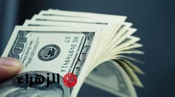 تحركات جديدة.. سعر صرف الدولار مقابل الجنيه المصري في تعاملات الساعات الأخيرة